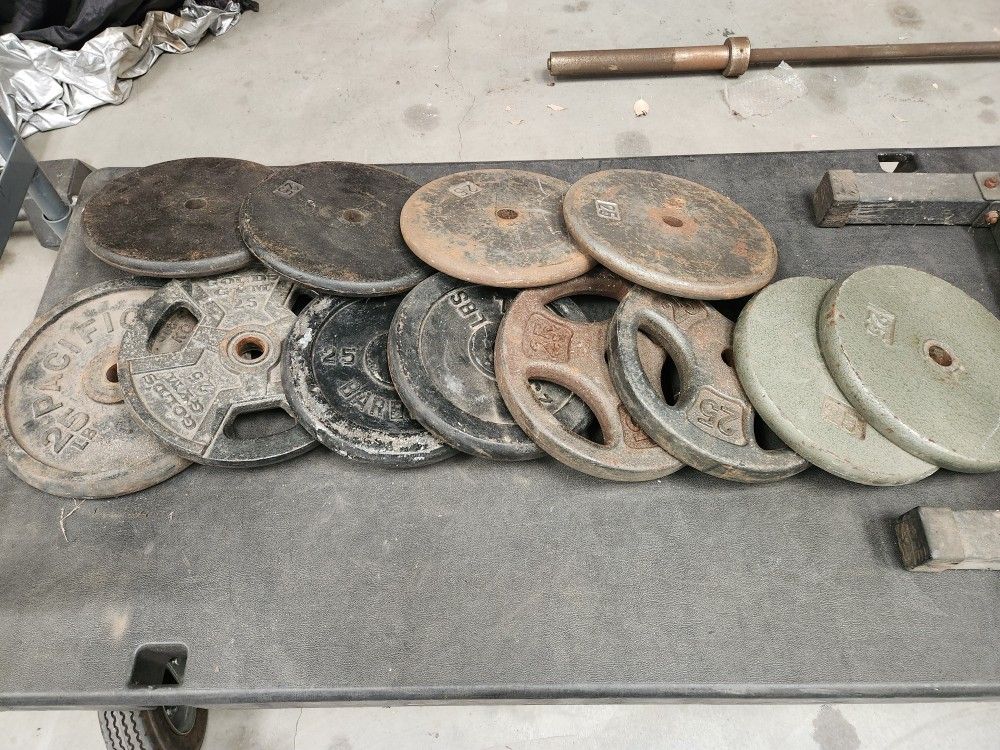 25s Standard Gym Weights $45 Pair