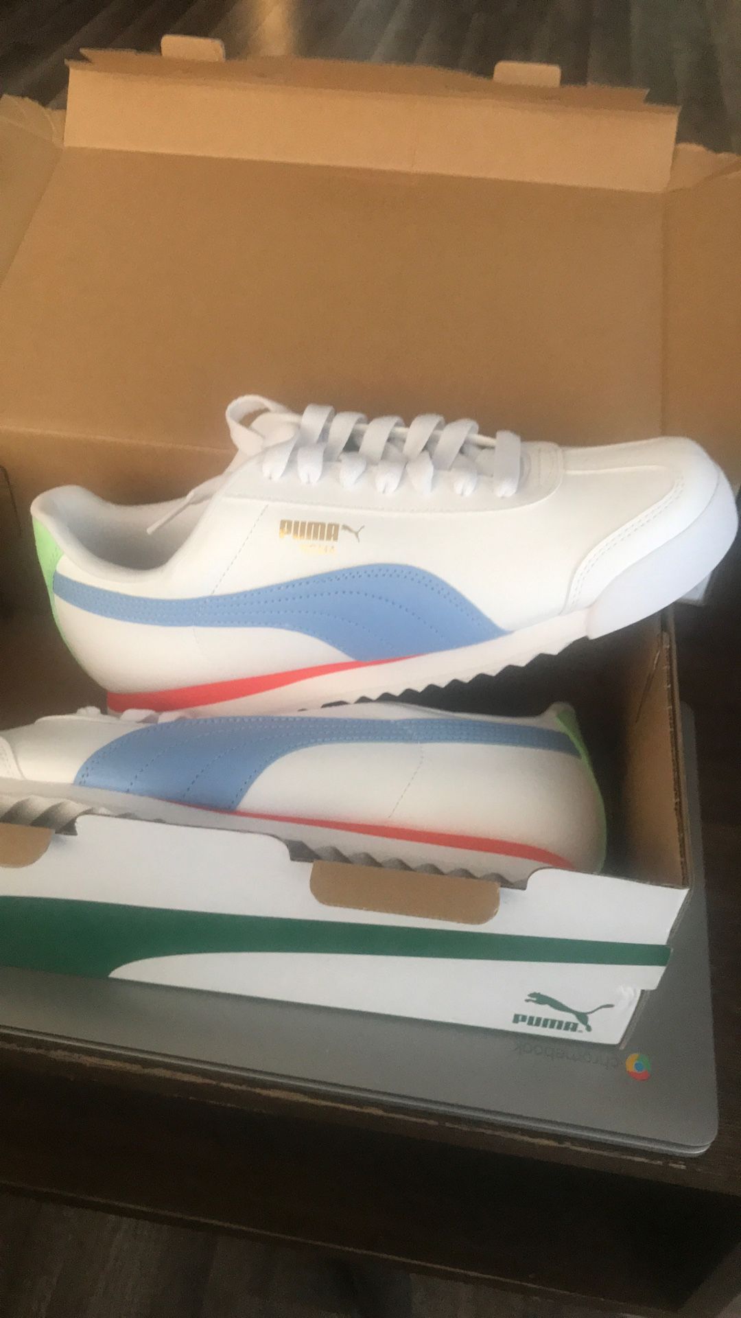 Puma Roma