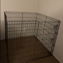dog cage 