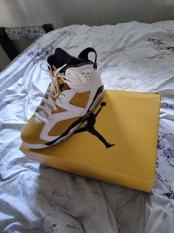 Air Jordan 6 retro 9.5