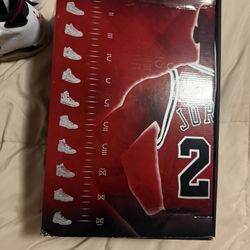 Air Jordan 6 Retro Carmine Size 9 