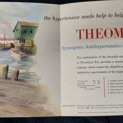 Vintage 1956 Winthrop Laboratories Theominal RS color brochure, "Retired Pilot House" 