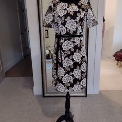 Special Event Adrianna Papell Dress