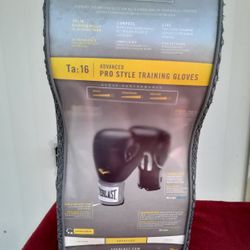 Boxing Gloves Everlast