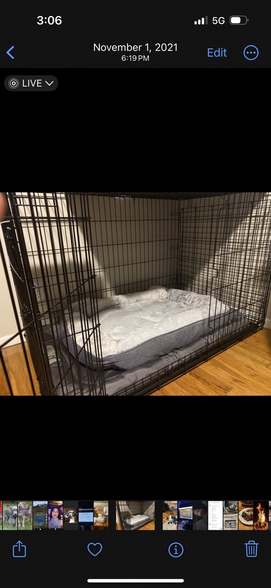 Large Dog Crate