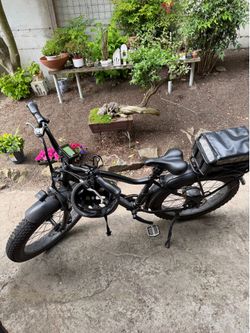 Rad Power Rad Rover E-Bike