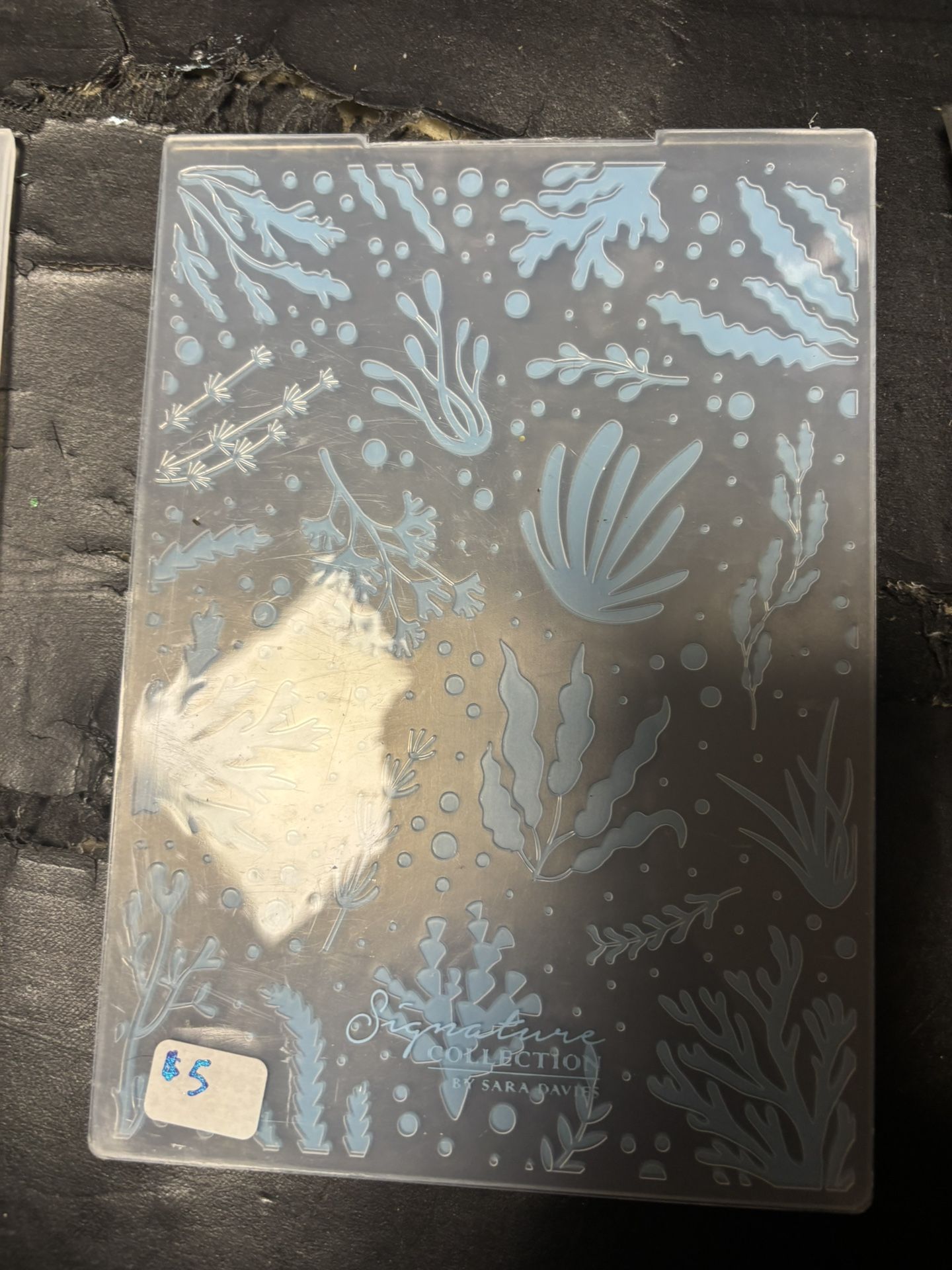Charming Coral Enchanted Ocean 2D Texture Folder