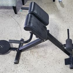BACK EXTENSION MACHINE WITH WAIST TWISTING DISC ATTACHED
