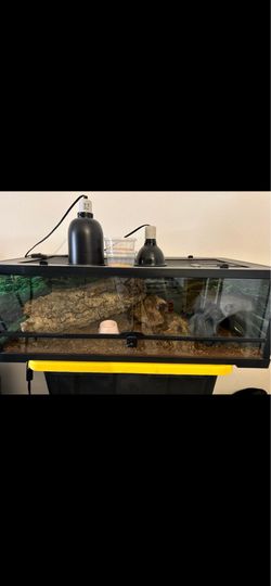 Reptile tank