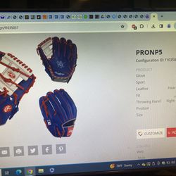 Custom Heart Of The Hide PRONP5 Baseball Glove 