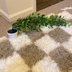 Fake Plant