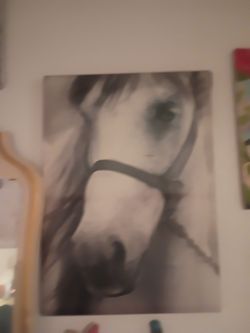 2 horses