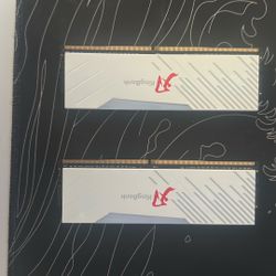 16gb Rgb Ram Sticks (2x8gb)