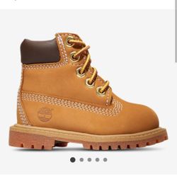 6c Timberland Boots