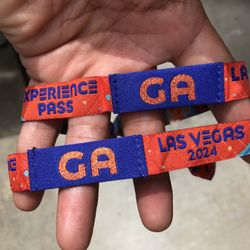 2 GA EDC Las Vegas 2024