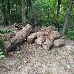 Seasoned Ash Firewood Approx 3 Ricks