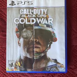 Call Of Duty: Black Ops Cold War (PS5)