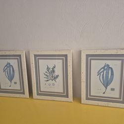 Decorative Wall Pictures QTY 3