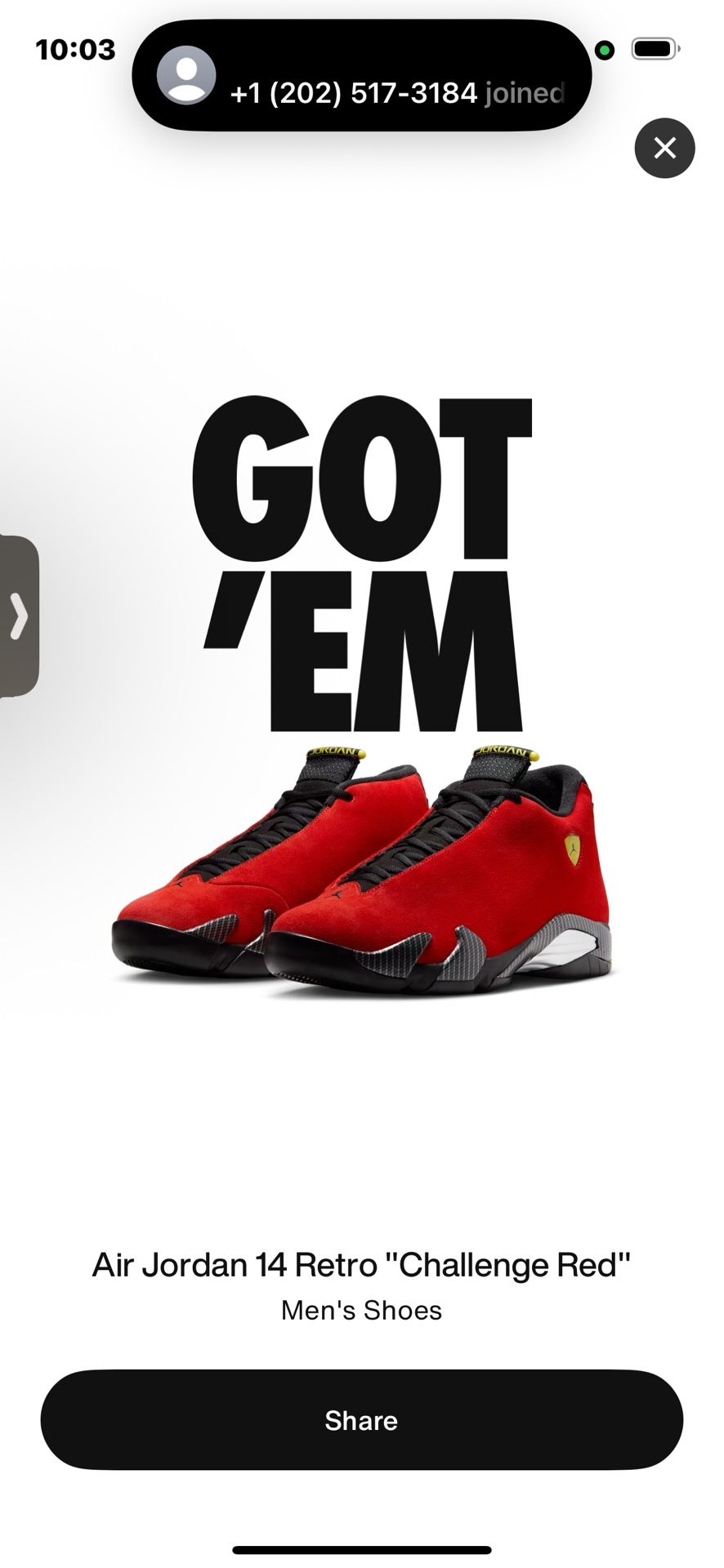 Size 11.5 Ferrari 14