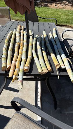 Fresh Cut Sugar Cane Stalks