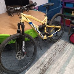 Mountain Bike