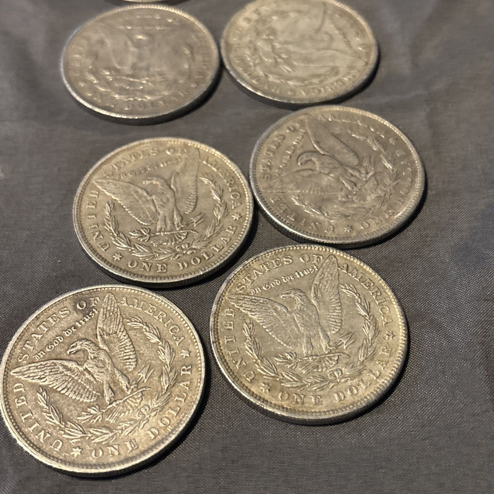 Lot If 6 Morgan Dollars