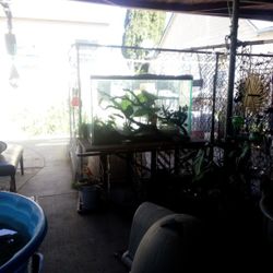 80 Gallon Double Thick Glass Aquarium 