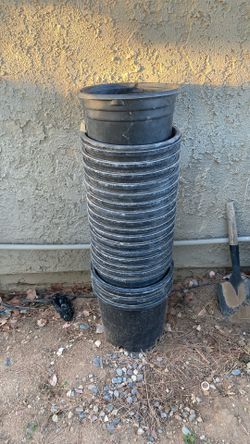 5 Gal Plant Containers 