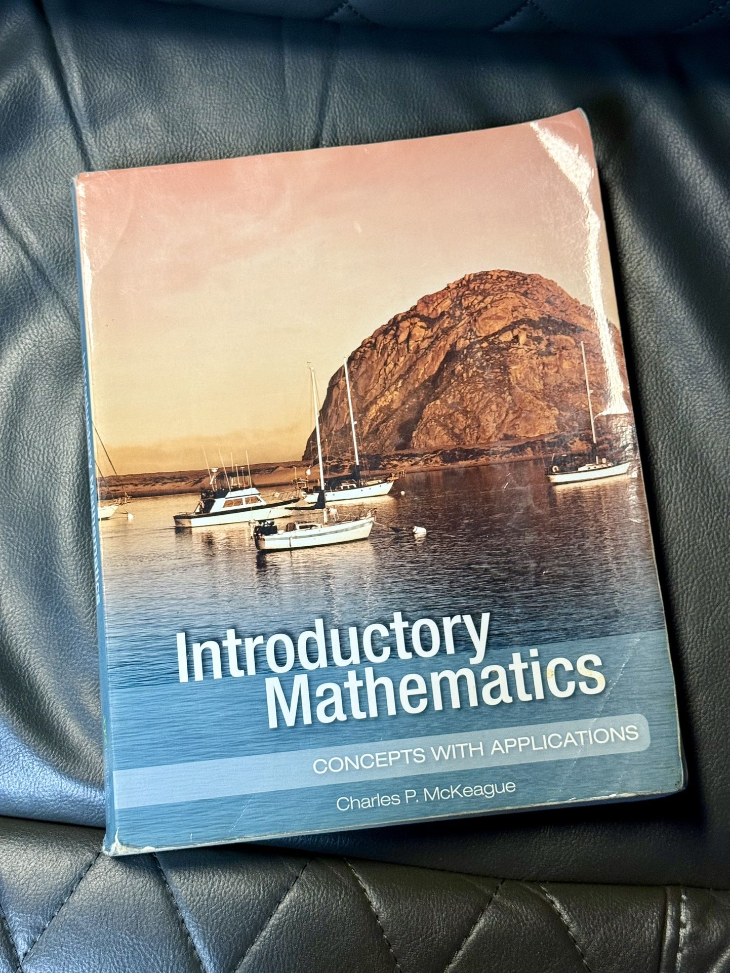 Introductory Mathematics Book