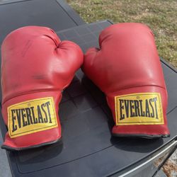 Everlast 16oz Boxing Gloves