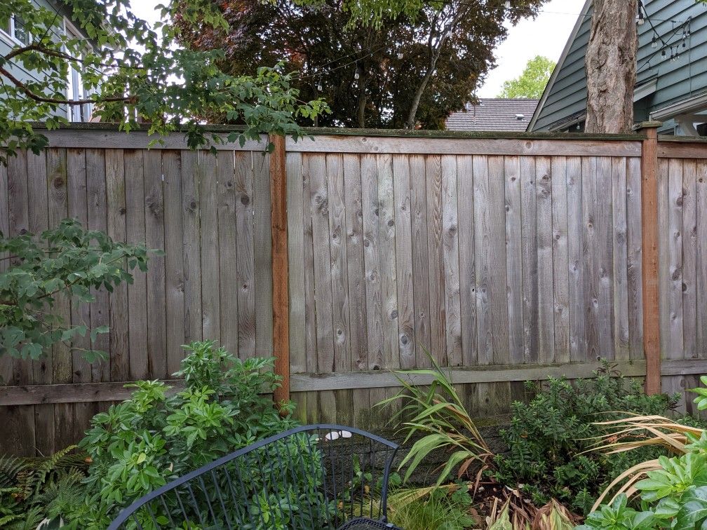 Cedar Fence Panels