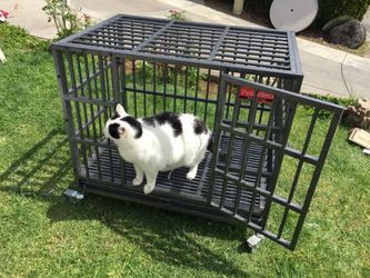 ProSelect Large Dog Cage ( cat not included)