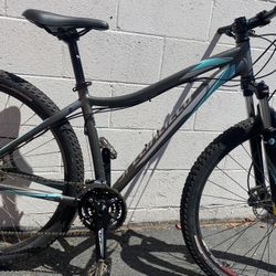 Specialized Mountain Bike 29 Er
