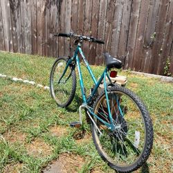 Bicicleta GRANDE Color Verde.en Buenas Condiciones