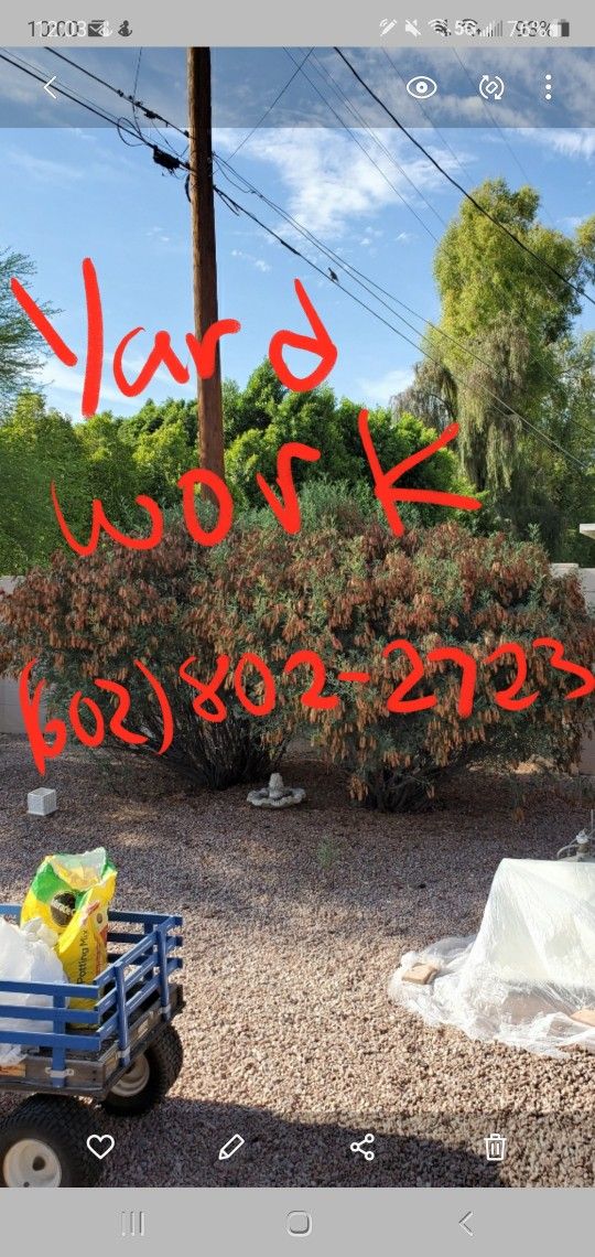 Yard