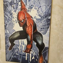 DC & Marvel