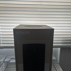 Sonos Era 100