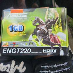 Asus ENGT220