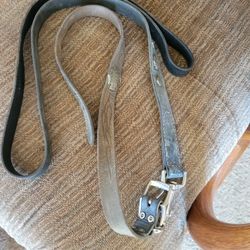 Dog Leash And Collar