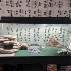 100 gallon tank and accessories 