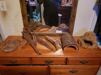 Complete reptile set up