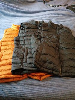 Vest