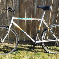 M/L MTB 100 Motiv Stone Grinder Shimano 21-Speed Frame 4130