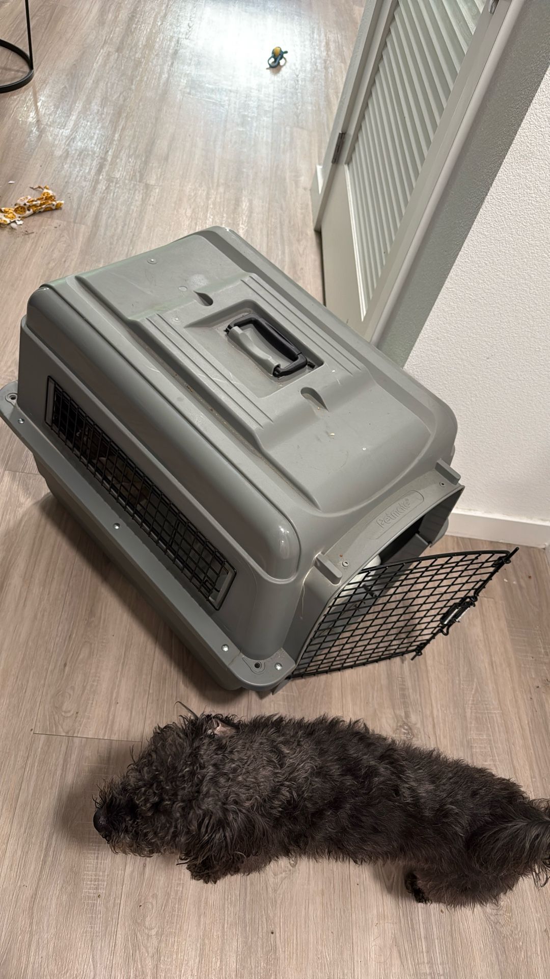 Dog Kennel 