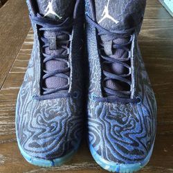 Air Jordan's Nike Blue Zebra Print Pattern.