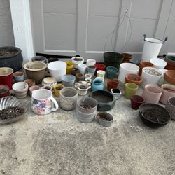 Assorted Plant Pots Collection