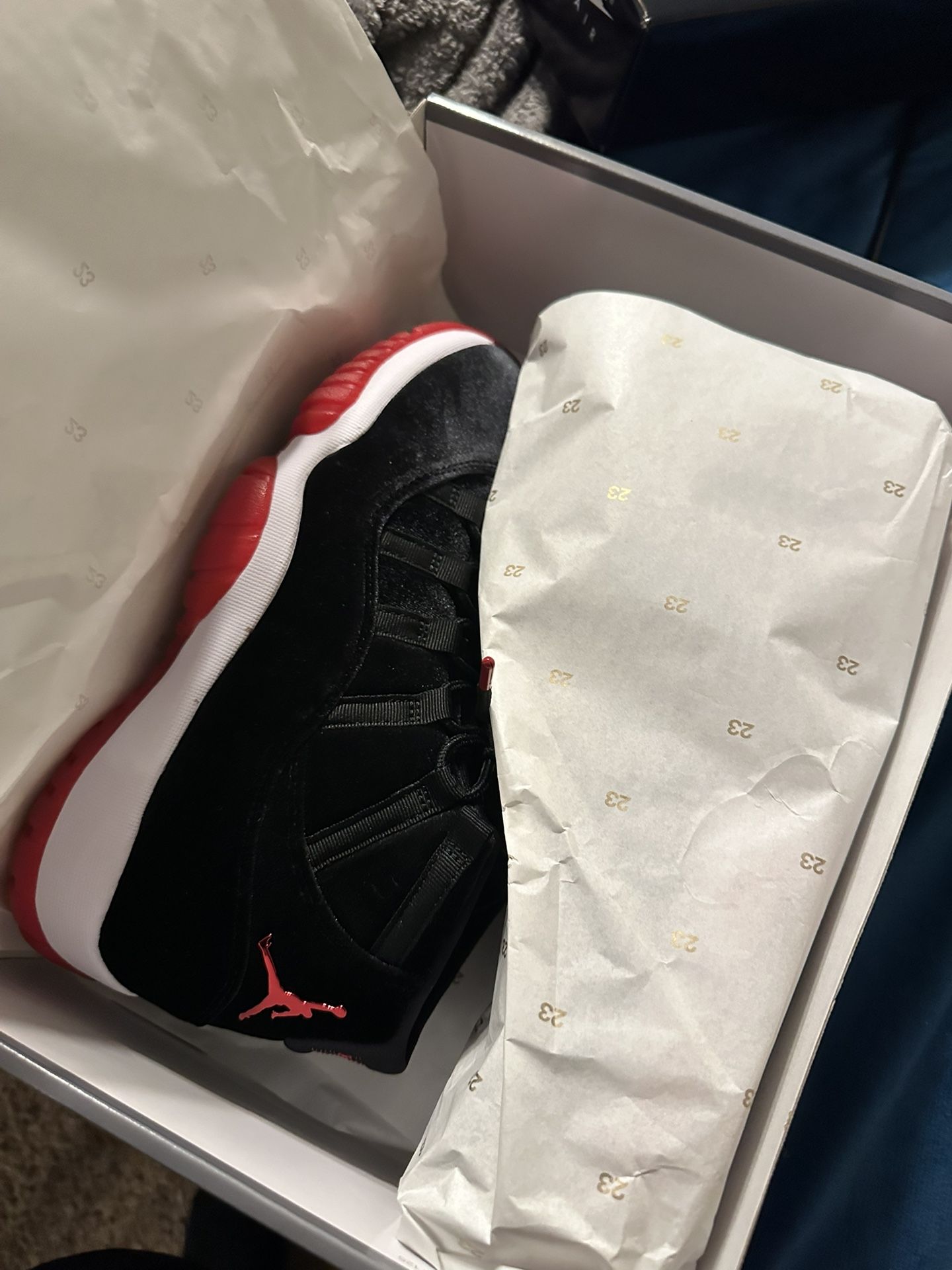 Jordan 11 Velvet Bred
