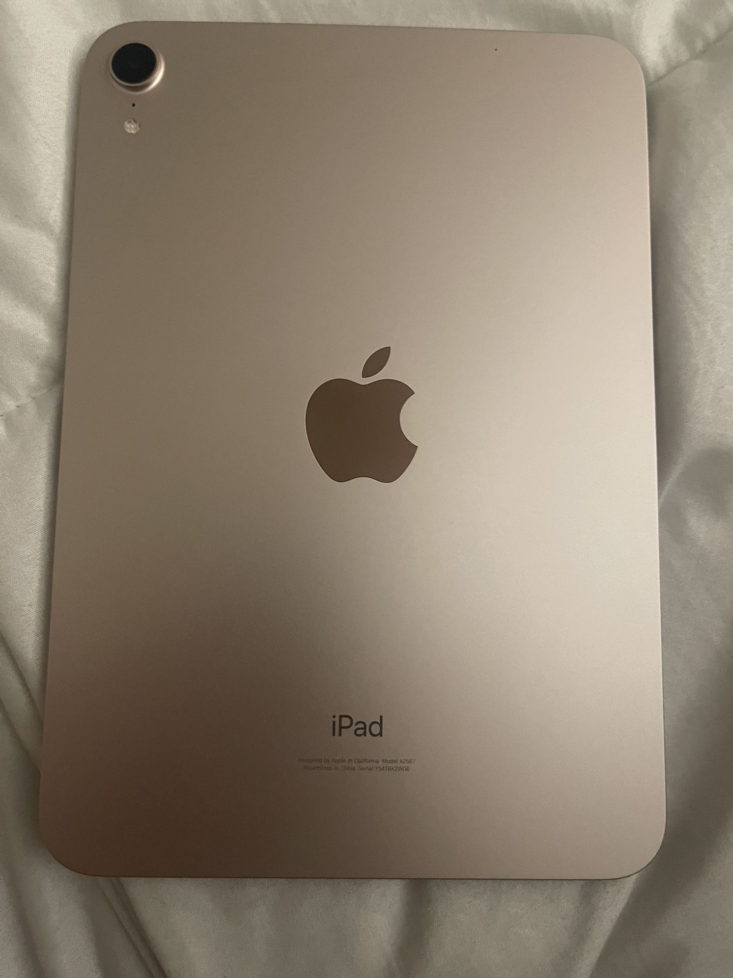 Rose Gold iPad Mini 6th Generation (WI-FI Only)