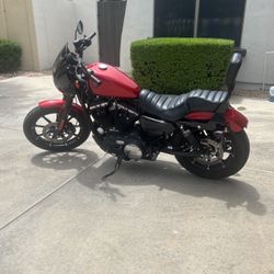 2019 Harley Davidson Iron Sportster