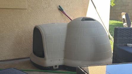 Dog igloo